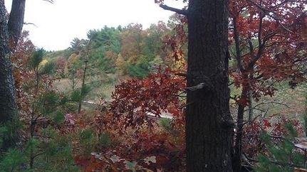 Property for sale in Plymouth County, Massachusetts