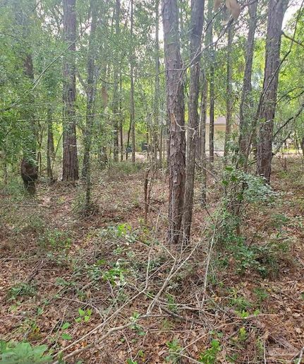 Property for sale in Santa Rosa County, Florida