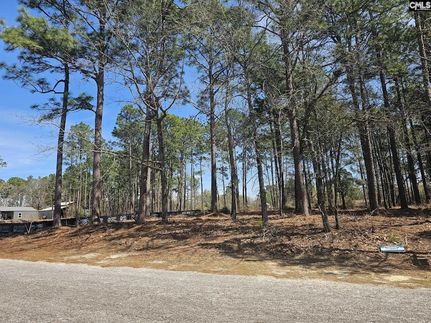 Property for sale in Lexington County, South Carolina