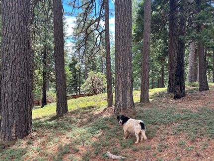 Property for sale in Amador County, California