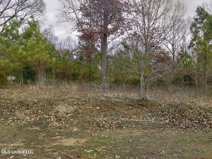 Property for sale in Marshall County, Mississippi