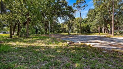 Undeveloped Land for sale in Osceola County, Florida