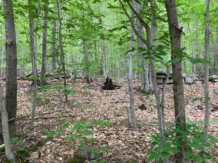 Ranch Property for sale in Oxford County, Maine