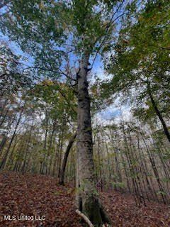 Property for sale in Benton County, Mississippi