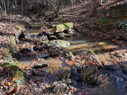 Undeveloped Land for sale in Walton County, Georgia