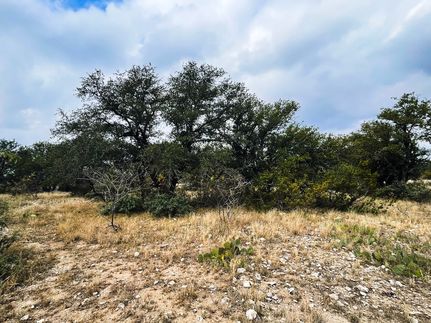 Property for sale in Schleicher County, Texas