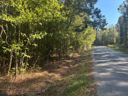 Hunting Land for sale in Simpson County, Mississippi