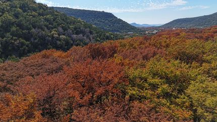 Ranch Property for sale in Real County, Texas