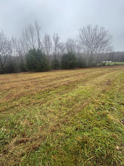 Undeveloped Land for sale in Metcalfe County, Kentucky
