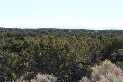 Horse Property for sale in Apache County, Arizona