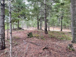 Timberland Property for sale in Klickitat County, Washington