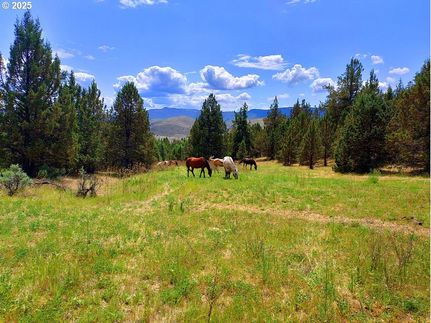 Undeveloped Land for sale in Grant County, Oregon