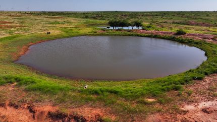 Horse Property for sale in Wilbarger County, Texas