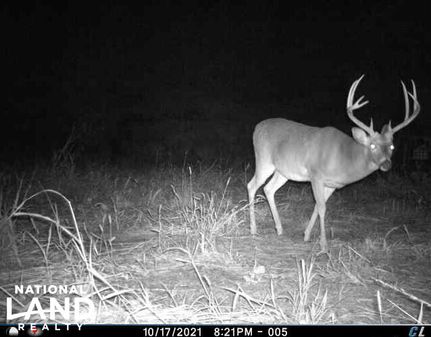 Waterfront Property for sale in East Carroll Parish, Louisiana