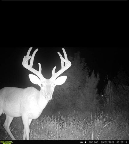 Farm Property in Kemper County, Mississippi