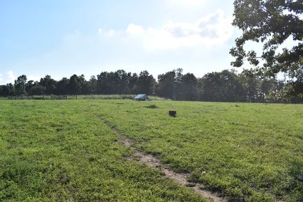 Hunting Land for sale in Texas County, Missouri