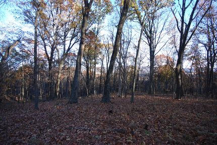 Property for sale in Hampshire County, West Virginia