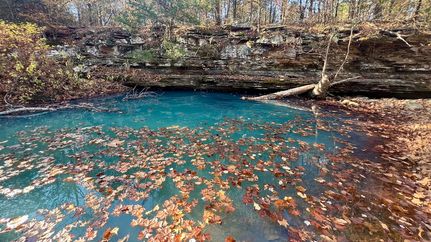 Timberland Property for sale in Sequoyah County, Oklahoma