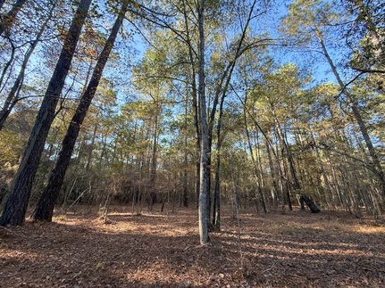 Farm Property for sale in Dillon County, South Carolina