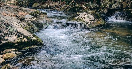 Recreational Property for sale in Roanoke County, Virginia