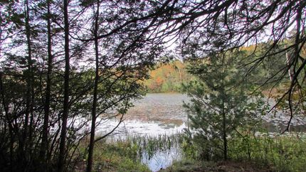 Property for sale in Sullivan County, New York