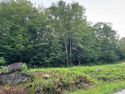 Undeveloped Land for sale in Oxford County, Maine