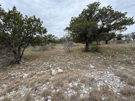 Undeveloped Land for sale in Llano County, Texas