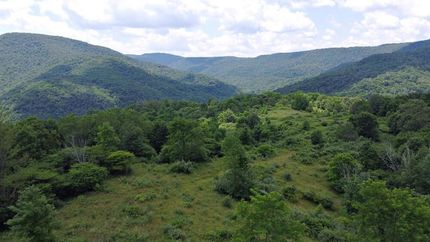 Undeveloped Land for sale in Pocahontas County, West Virginia