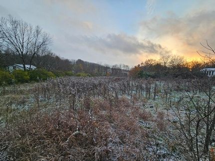 Undeveloped Land for sale in Boyle County, Kentucky