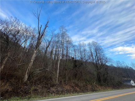 Undeveloped Land for sale in Boone County, West Virginia