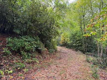 Undeveloped Land for sale in Carter County, Tennessee