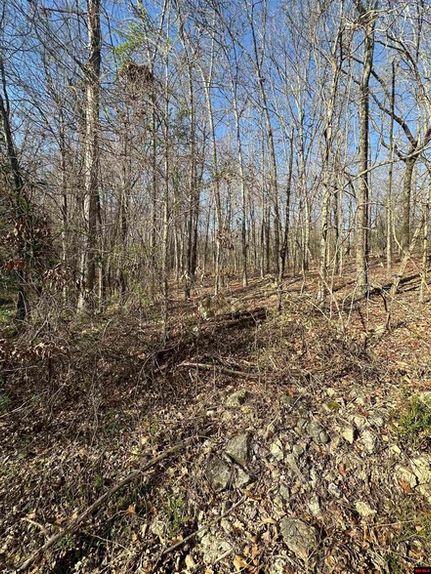 Farm Property for sale in Sharp County, Arkansas