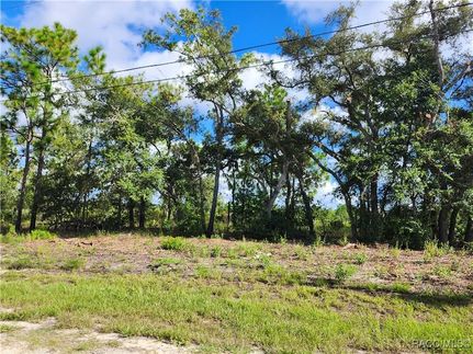 Undeveloped Land for sale in Citrus County, Florida