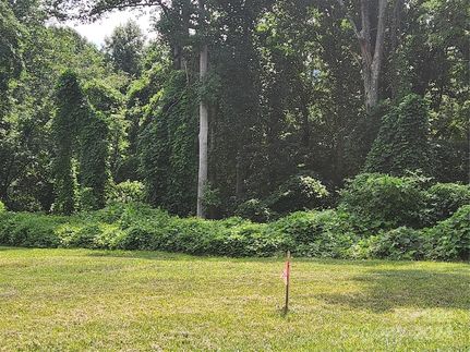 Undeveloped Land for sale in Buncombe County, North Carolina