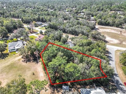 Undeveloped Land for sale in Citrus County, Florida