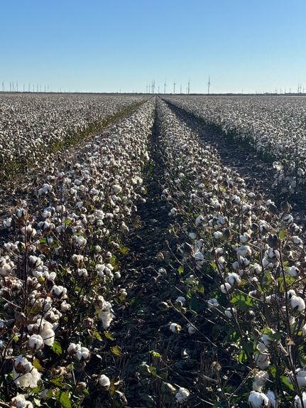 Property for sale in Haskell County, Texas