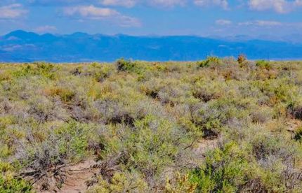 Recreational Property for sale in Alamosa County, Colorado