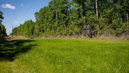 Recreational Property for sale in Pike County, Mississippi