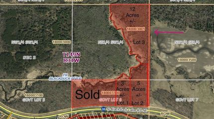 Undeveloped Land for sale in Beltrami County, Minnesota