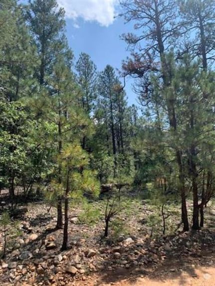 Property for sale in Mora County, New Mexico