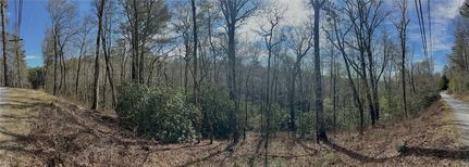 Undeveloped Land for sale in Macon County, North Carolina