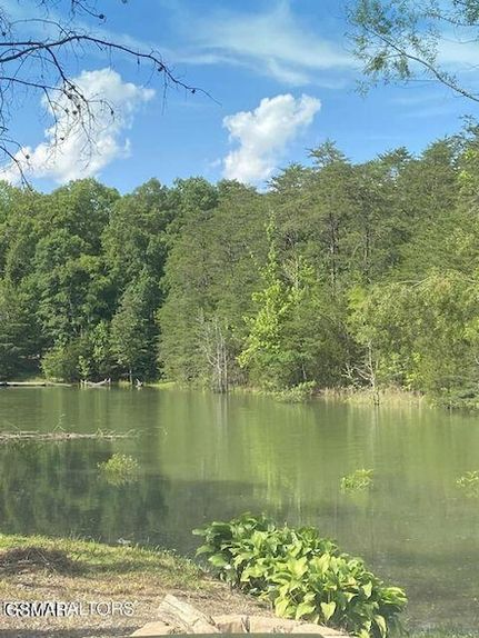 Waterfront Property for sale in Sevier County, Tennessee