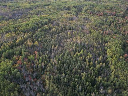 Undeveloped Land for sale in Koochiching County, Minnesota