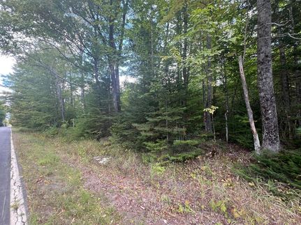 Undeveloped Land for sale in Piscataquis County, Maine