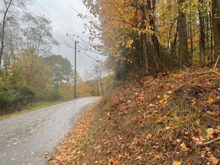 Undeveloped Land for sale in Tazewell County, Virginia