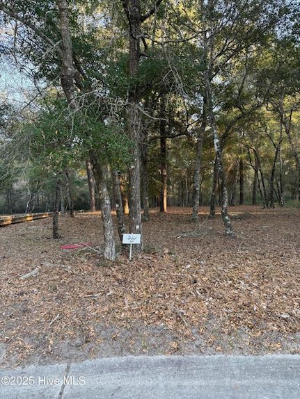 Property for sale in Brunswick County, North Carolina