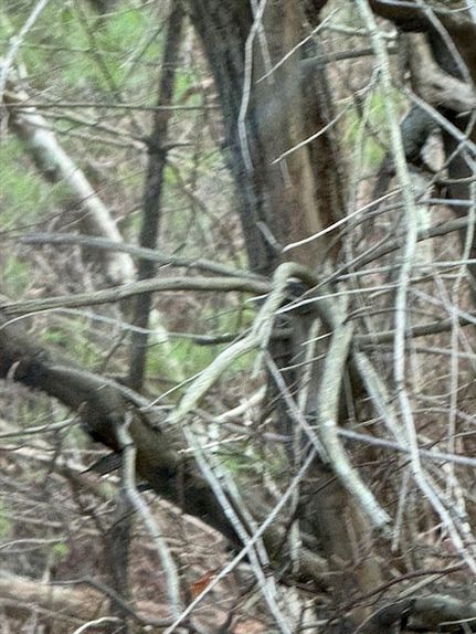 Property for sale in Plymouth County, Massachusetts