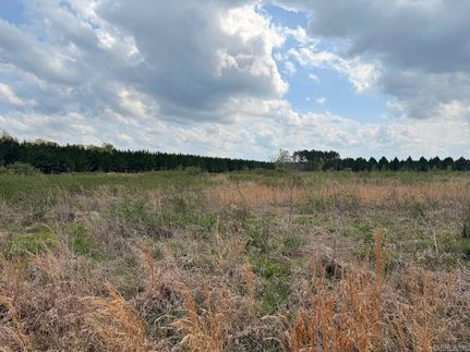 Undeveloped Land for sale in Drew County, Arkansas