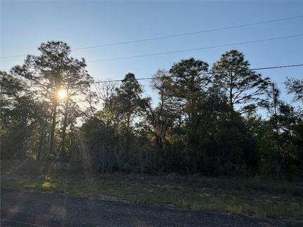 Undeveloped Land for sale in Citrus County, Florida