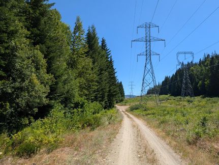 Undeveloped Land for sale in Chelan County, Washington